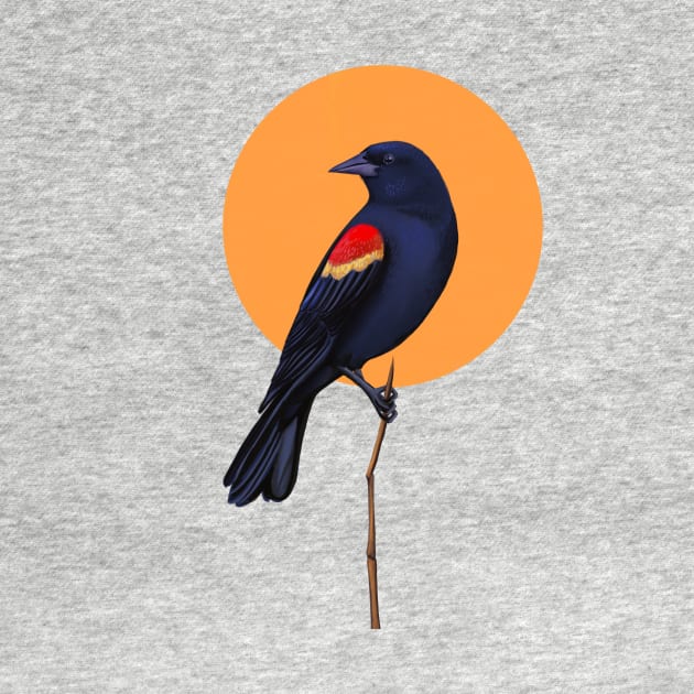 Red winged blackbird by Leticia Powers 